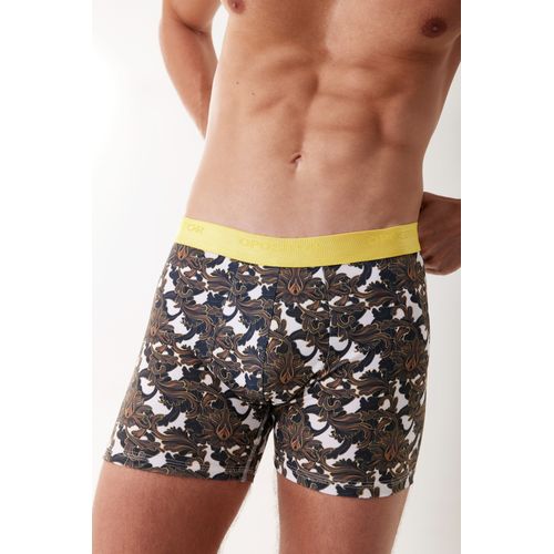 Bóxer estampado